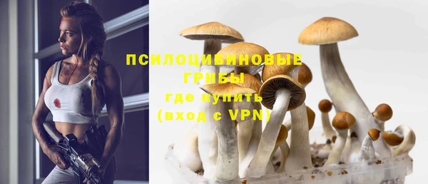 гидропоника Беломорск