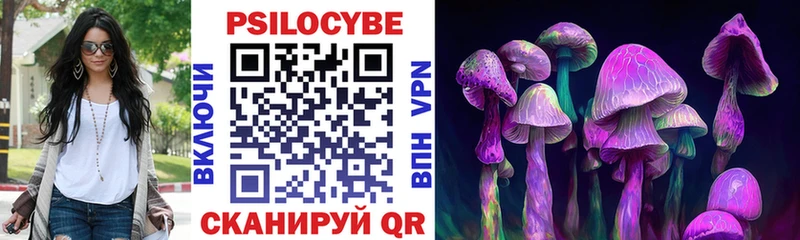 OMG как войти  Сковородино  Галлюциногенные грибы Magic Shrooms 